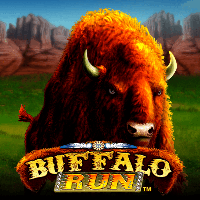 Buffalo Run