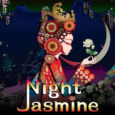 Night Jasmine