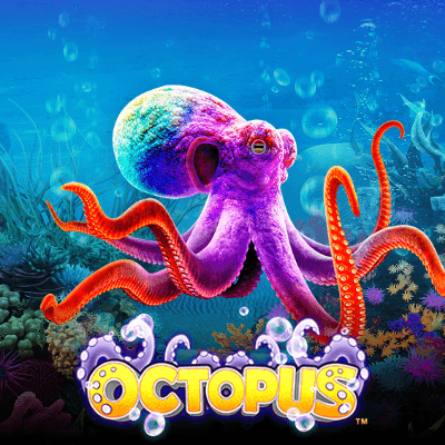 Octopus