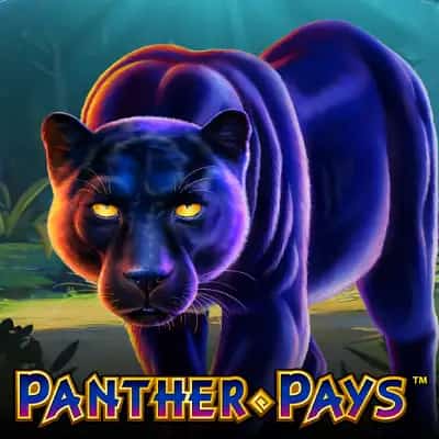 Panther Pays