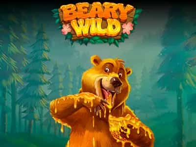 Beary Wild