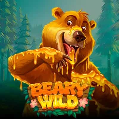 Beary Wild