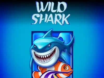 Wild Shark