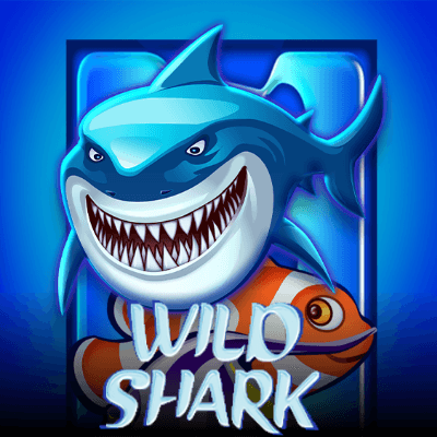 Wild Shark