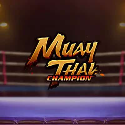 Muay Thai Champion