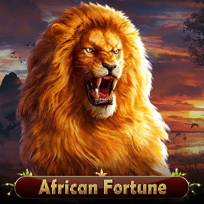 African Fortune