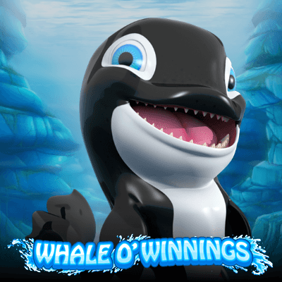 Whale O'Winnings