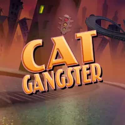 Cat Gangster
