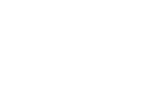Bullshark Games