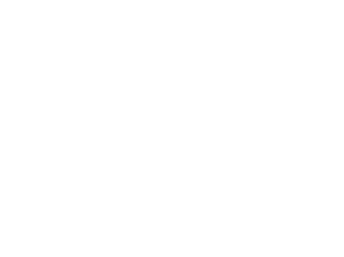 Evolution