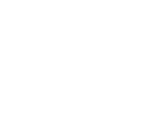 OpenRGS