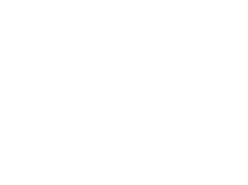 Penguin King