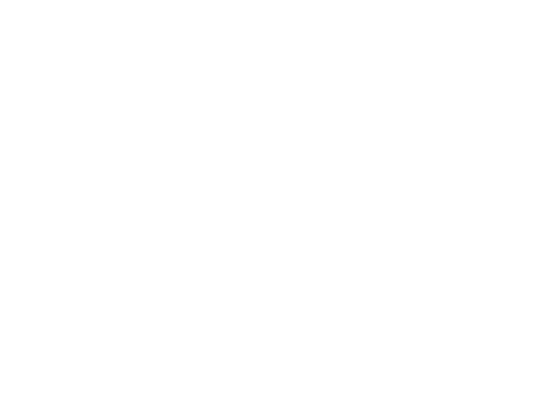 Playtech