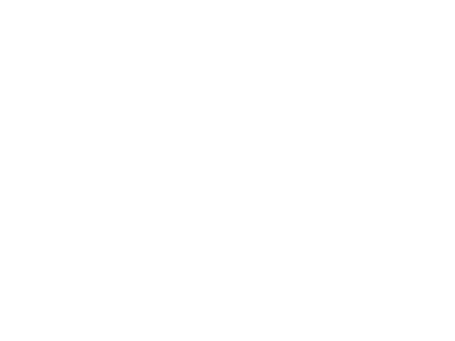 Speedy Tomatoes