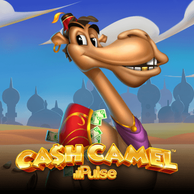 Cash Camel