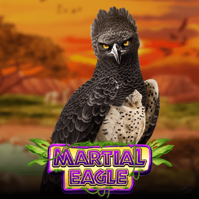Martial Eagle