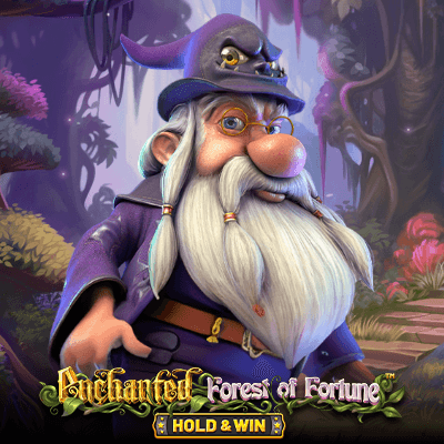 Enchanted Forest of Fortune: Hold and Win