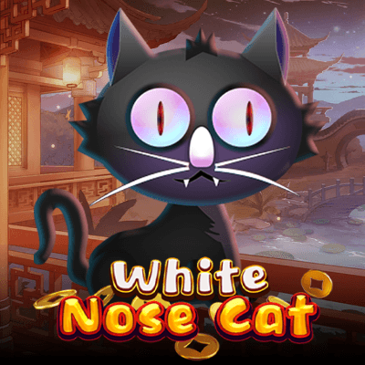 White Nose Cat