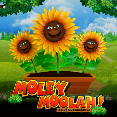 Moley Moolah Going Underground